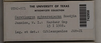 Image Associated With the Occurence